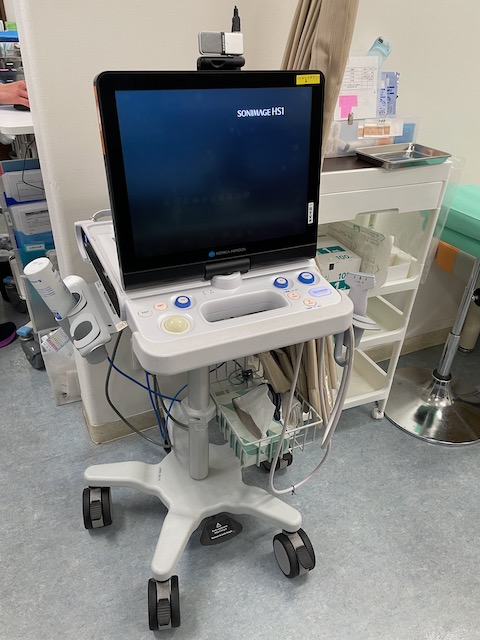 超音波診断装置(SOMNAGE HS1)
